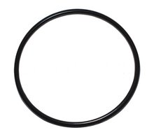 Уплотнительное кольцо INTEX, для фильтров, арт.10325